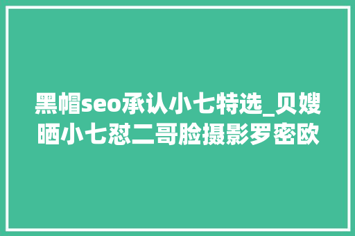 黑帽seo承认小七特选_贝嫂晒小七怼二哥脸摄影罗密欧一脸宠溺大年夜布却没现身