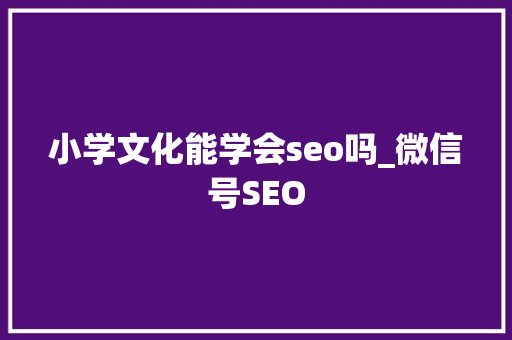 小学文化能学会seo吗_微信号SEO 小学文化能学会seo吗_微信号SEO 必应SEO