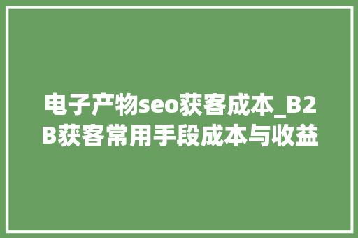 电子产物seo获客成本_B2B获客常用手段成本与收益一次说明白️
