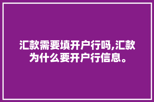 汇款需要填开户行吗,汇款为什么要开户行信息。