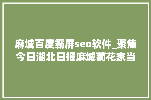 麻城百度霸屏seo软件_聚焦今日湖北日报麻城菊花家当霸屏湖北日报整张版面 麻城百度霸屏seo软件_聚焦今日湖北日报麻城菊花家当霸屏湖北日报整张版面 SEO关键词