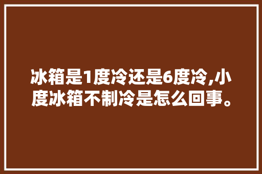 冰箱是1度冷还是6度冷,小度冰箱不制冷是怎么回事。