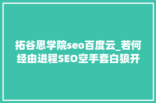 拓谷思学院seo百度云_若何经由进程SEO空手套白狼开启赚钱项目 拓谷思学院seo百度云_若何经由进程SEO空手套白狼开启赚钱项目 百度SEO