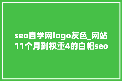 seo自学网logo灰色_网站11个月到权重4的白帽seo之路 seo自学网logo灰色_网站11个月到权重4的白帽seo之路 百度SEO