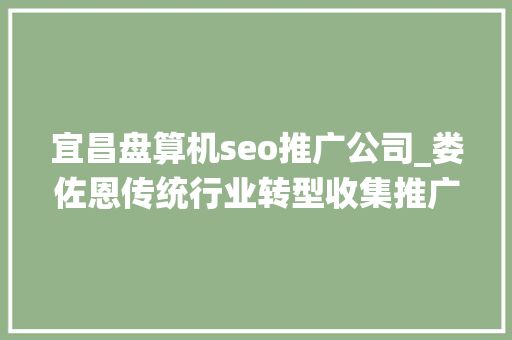 宜昌盘算机seo推广公司_娄佐恩传统行业转型收集推广运营来不得半点虚假