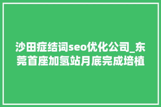 沙田症结词seo优化公司_东莞首座加氢站月底完成培植桑莱特氢项目获江苏省专项资金支持
