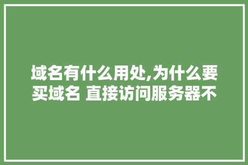 域名有什么用处,为什么要买域名 直接访问服务器不行吗。