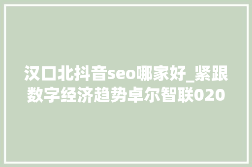 汉口北抖音seo哪家好_紧跟数字经济趋势卓尔智联02098千亿规模下探索盈利最优解