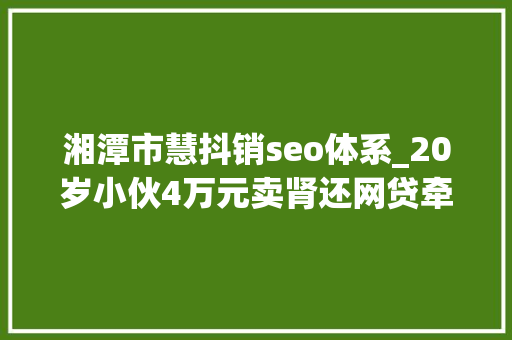湘潭市慧抖销seo体系_20岁小伙4万元卖肾还网贷牵出器官生意地下收集