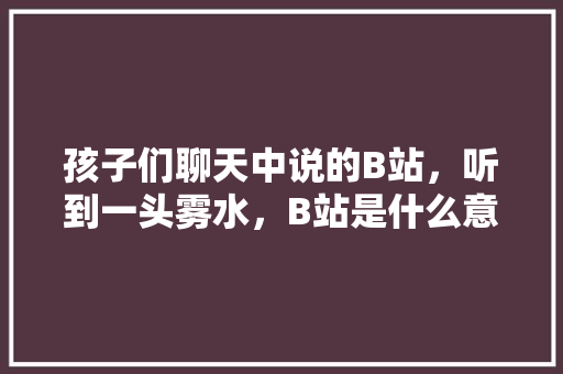 孩子们聊天中说的B站，听到一头雾水，B站是什么意思啊,为什么说网站的形象就代表着旅游企业的网上品牌形象?。 孩子们聊天中说的B站，听到一头雾水，B站是什么意思啊,为什么说网站的形象就代表着旅游企业的网上品牌形象?。 百度SEO