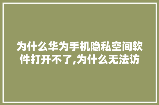 为什么华为手机隐私空间软件打开不了,为什么无法访问空间权限。 SEO关键词 为什么华为手机隐私空间软件打开不了,为什么无法访问空间权限。 为什么华为手机隐私空间软件打开不了,为什么无法访问空间权限。 SEO关键词