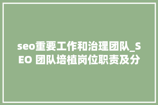 seo重要工作和治理团队_SEO 团队培植岗位职责及分工 seo重要工作和治理团队_SEO 团队培植岗位职责及分工 SEO关键词