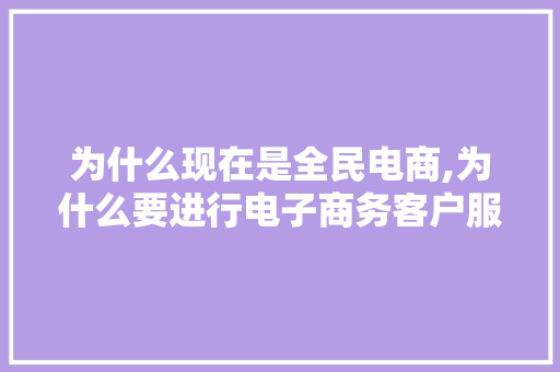 为什么现在是全民电商,为什么要进行电子商务客户服务。