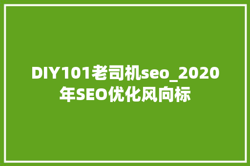 DIY101老司机seo_2020年SEO优化风向标