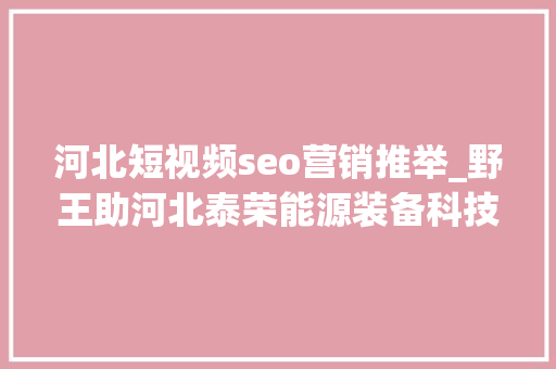 河北短视频seo营销推举_野王助河北泰荣能源装备科技有限公司精准营销
