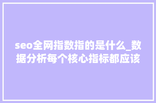 seo全网指数指的是什么_数据分析每个核心指标都应该从这些成分去分析