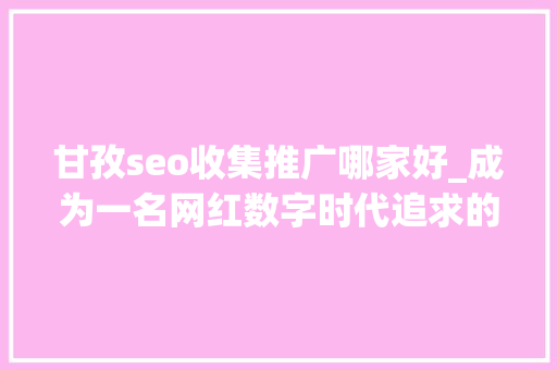 甘孜seo收集推广哪家好_成为一名网红数字时代追求的名利之路