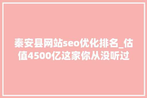 秦安县网站seo优化排名_估值4500亿这家你从没听过的中国公司活成了全球时尚顶流
