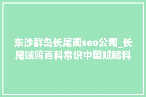 东沙群岛长尾词seo公司_长尾贼鸥百科常识中国贼鸥科之一 东沙群岛长尾词seo公司_长尾贼鸥百科常识中国贼鸥科之一 神马SEO
