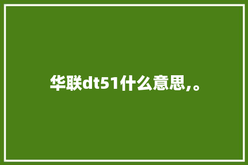 华联dt51什么意思,。