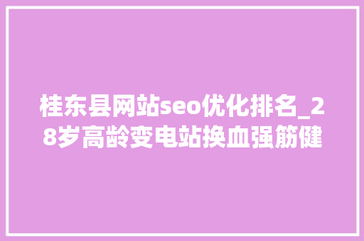 桂东县网站seo优化排名_28岁高龄变电站换血强筋健骨提升供电能力