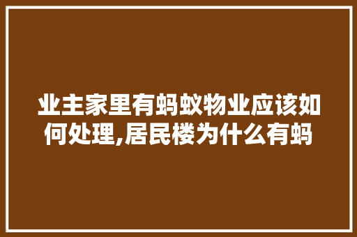 业主家里有蚂蚁物业应该如何处理,居民楼为什么有蚂蚁呢。
