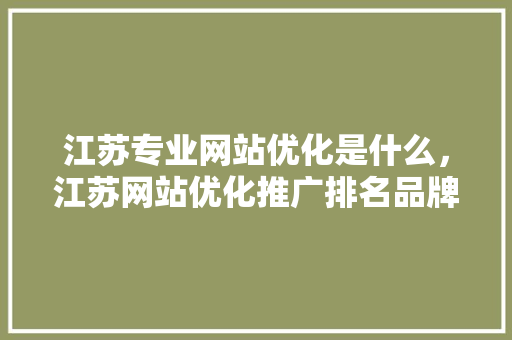 江苏专业网站优化是什么，江苏网站优化推广排名品牌。 江苏专业网站优化是什么，江苏网站优化推广排名品牌。 必应SEO