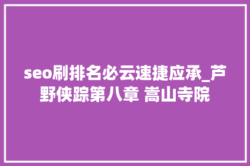 seo刷排名必云速捷应承_芦野侠踪第八章 嵩山寺院 网站建设公司