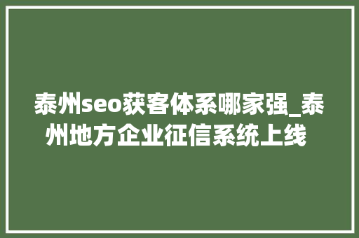 泰州seo获客体系哪家强_泰州地方企业征信系统上线 为中小企业融资供应增信服务