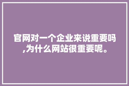 官网对一个企业来说重要吗,为什么网站很重要呢。 官网对一个企业来说重要吗,为什么网站很重要呢。 必应SEO