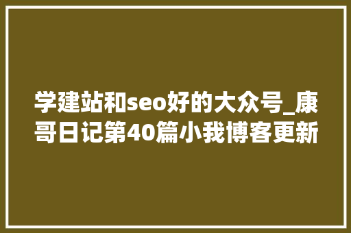 学建站和seo好的大众号_康哥日记第40篇小我博客更新至wordpress58版本