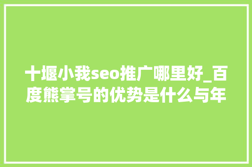 十堰小我seo推广哪里好_百度熊掌号的优势是什么与年夜众号有什么差异 十堰小我seo推广哪里好_百度熊掌号的优势是什么与年夜众号有什么差异 SEO关键词