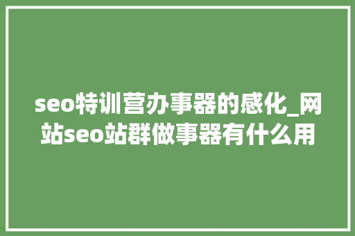 seo特训营办事器的感化_网站seo站群做事器有什么用 seo特训营办事器的感化_网站seo站群做事器有什么用 网站建设公司