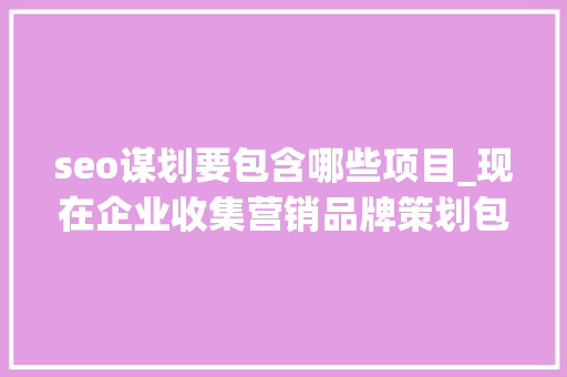 seo谋划要包含哪些项目_现在企业收集营销品牌策划包括什么项目