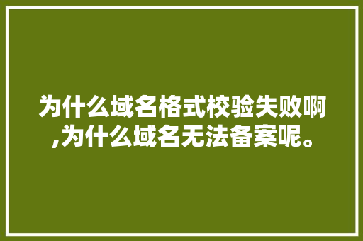 为什么域名格式校验失败啊,为什么域名无法备案呢。 为什么域名格式校验失败啊,为什么域名无法备案呢。 必应SEO