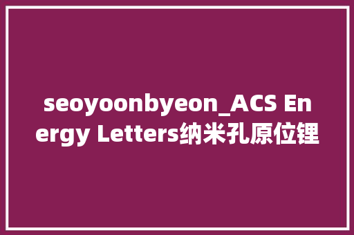 seoyoonbyeon_ACS Energy Letters纳米孔原位锂化揭示SiC复合负极的锂化机制 seoyoonbyeon_ACS Energy Letters纳米孔原位锂化揭示SiC复合负极的锂化机制 必应SEO