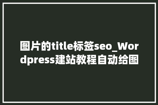 图片的title标签seo_Wordpress建站教程自动给图片添加Alt和Title标签 图片的title标签seo_Wordpress建站教程自动给图片添加Alt和Title标签 百度SEO