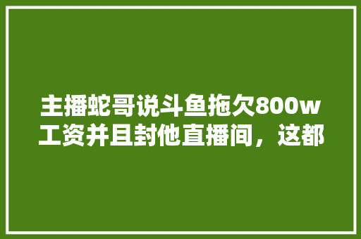 主播蛇哥说斗鱼拖欠800w工资并且封他直播间，这都是真的吗,玩蛇tv为什么没有了呢。
