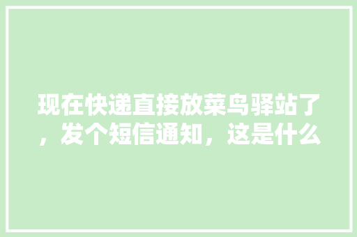 现在快递直接放菜鸟驿站了，发个短信通知，这是什么情况,。