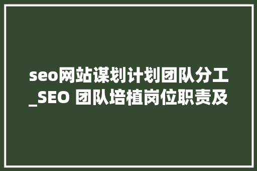 seo网站谋划计划团队分工_SEO 团队培植岗位职责及分工