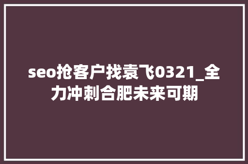 seo抢客户找袁飞0321_全力冲刺合肥未来可期