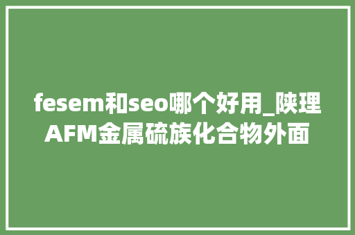fesem和seo哪个好用_陕理AFM金属硫族化合物外面自重构OER中浸染