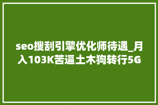 seo搜刮引擎优化师待遇_月入103K苦逼土木狗转行5G网路优化工程师