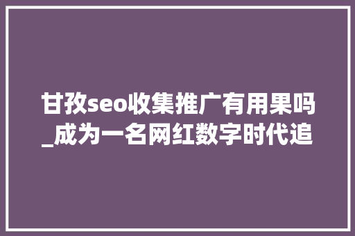 甘孜seo收集推广有用果吗_成为一名网红数字时代追求的名利之路