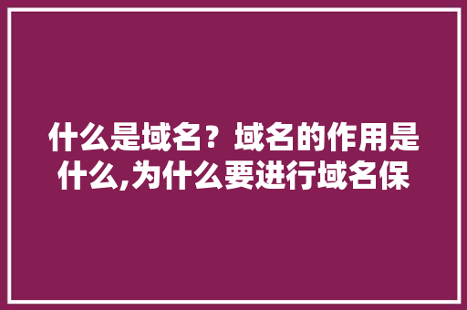 什么是域名？域名的作用是什么,为什么要进行域名保护呢。 什么是域名？域名的作用是什么,为什么要进行域名保护呢。 神马SEO