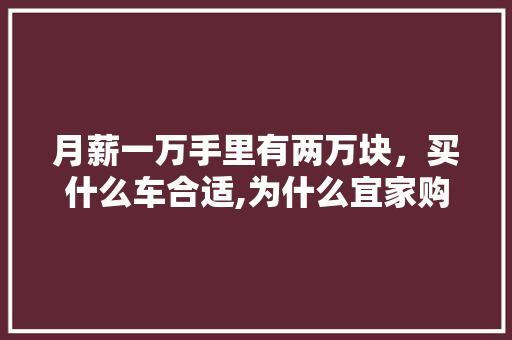 月薪一万手里有两万块，买什么车合适,为什么宜家购物交税那么贵。
