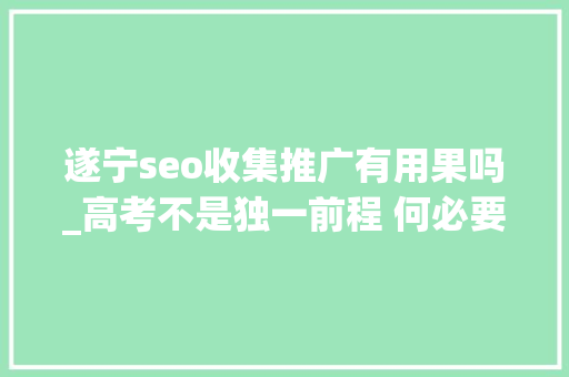 遂宁seo收集推广有用果吗_高考不是独一前程 何必要选择跳楼