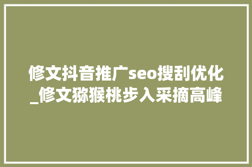修文抖音推广seo搜刮优化_修文猕猴桃步入采摘高峰期 线上线下发卖火爆