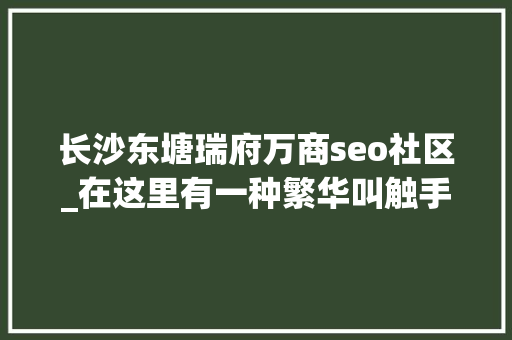 长沙东塘瑞府万商seo社区_在这里有一种繁华叫触手可及