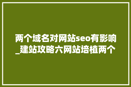 两个域名对网站seo有影响_建站攻略六网站培植两个域名指向一个网站会影响网站优化吗 两个域名对网站seo有影响_建站攻略六网站培植两个域名指向一个网站会影响网站优化吗 SEO关键词